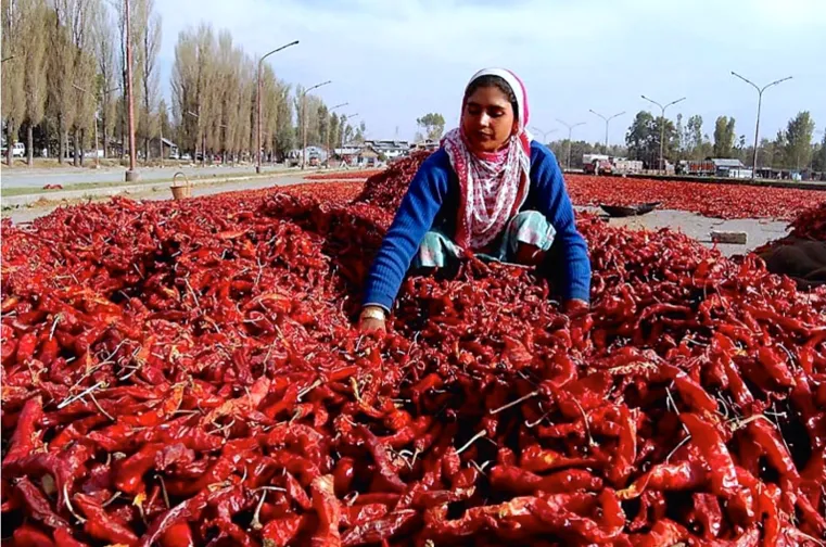 Kashmiri Spices
